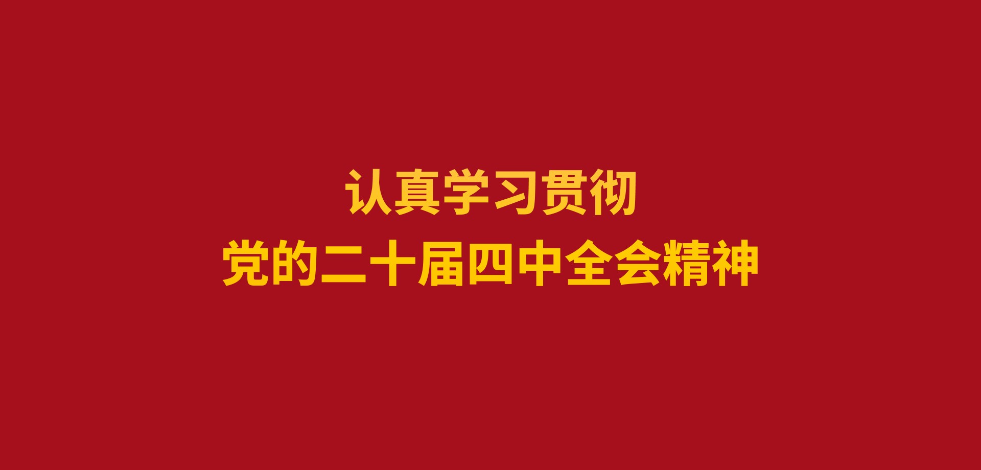 认真学习贯彻党的二十届四中全会精神